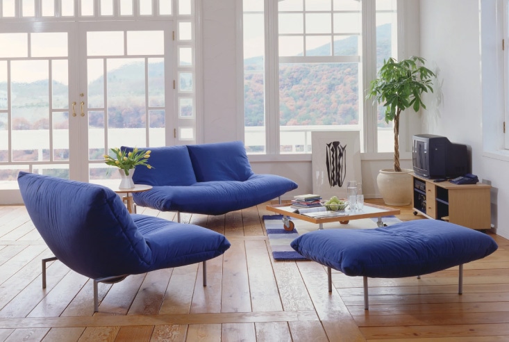 リビングソファ 二人掛け ligne roset(リーン・ロゼ) ROSETCALIN 2