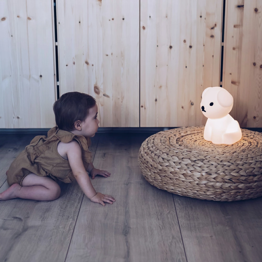 FirstLight miffy＆friends ファーストライト ミッフィー＆フレンズ 充電式 LEDライト