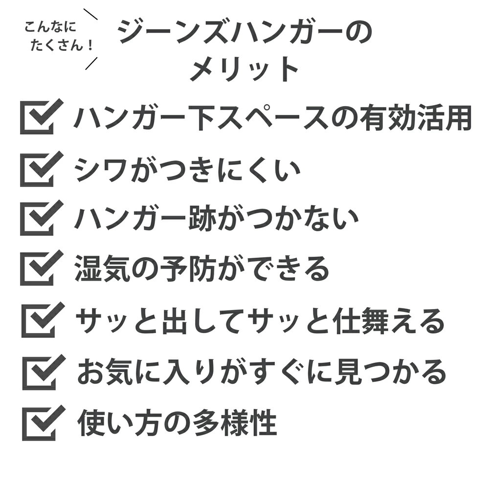 THE JEANS HANGER ジーンズハンガー【10本掛／rootis select】