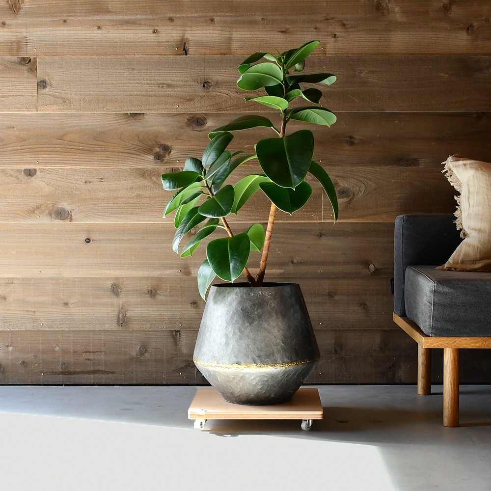 キャスター付きプランタースタンド【幅35×奥行35cm／南魚沼産木材／rootis select】