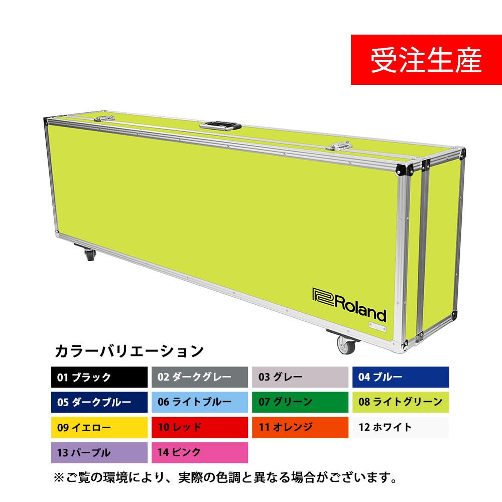 受注生産・代引不可】TB-RD2000（RD-2000専用ハードケース）