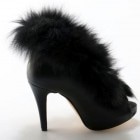 ڴʡۥեåե쥶ԡץȥ硼ȥ֡ƥ