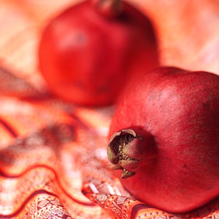 �ڴ��ָ���ۤ������С����ȥ�����