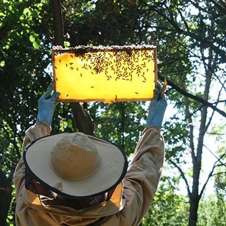 �ڿ��о�ۥϥ󥬥꡼������̪�ʥ���ϥˡ���200g