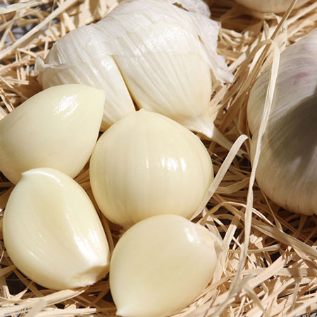 �ڥ�������˥塼���롪�۹��ߡ��ˤ�ˤ����������ѡ������ߡʤ���褦�����