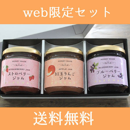 WEBꡪ̵ۥϥˡᥤɥե롼ĥࣳåȡʥեȢ