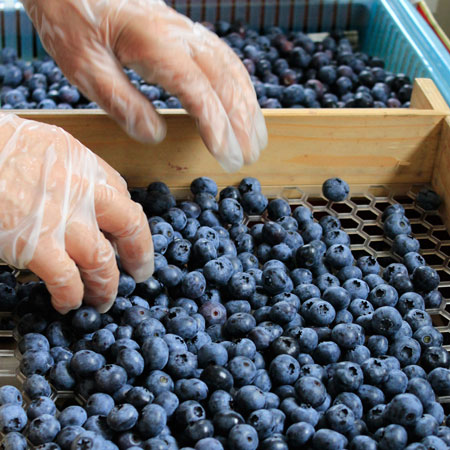 ���������ߡ��ߥ��ե�2025�ۤϤ��ߤĻ�Ω�ƤΥ���ե����塼�륻�å�