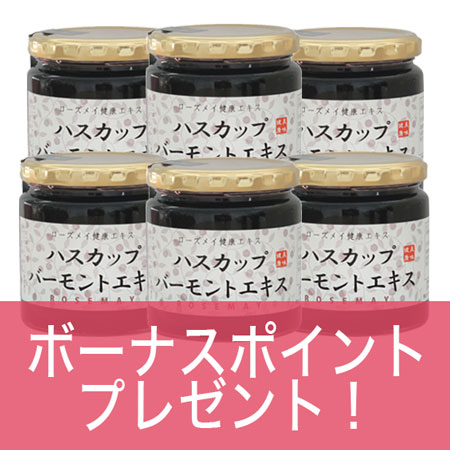 �ڥܡ��ʥ��ݥ�����դ����ۥϥ����åץС����ȥ�����6�ĥ��å�