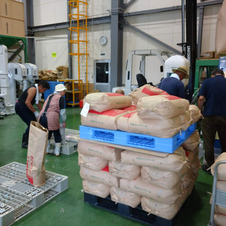 ������̵������Ԥ�ͽ���2025ǯ�ٻ������̺����ơ֤��������ޤ���5��