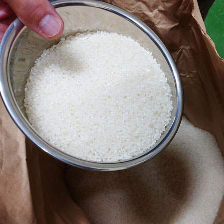 ������̵������Ԥ�ͽ���2025ǯ�ٻ������̺����ơ֤��������ޤ���5��