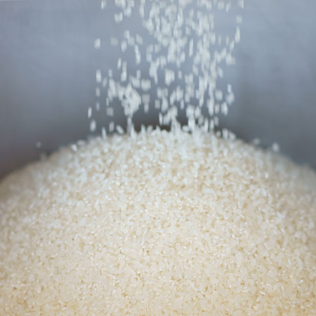 ������̵������Ԥ�ͽ���2025ǯ�ٻ������̺����ơ֤��������ޤ���5��