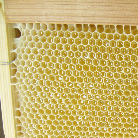 �ڴ��ָ�������ե�Ȣ����۹�˪̪�ʥ����������β֡����̥��å�