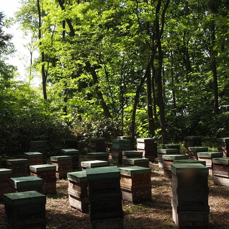 �ڴ��ָ�������ե�Ȣ����۹�˪̪�ʥ����������β֡����̥��å�