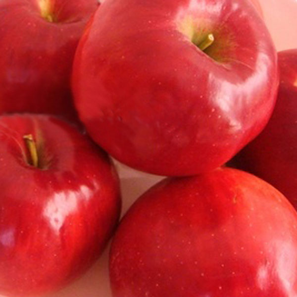 �ڴ��ָ���ۥ��åץ�Х��������