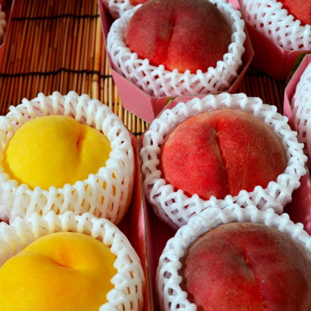 2���ν���������ե����塼�뿩�٤���٥��åȡ�������2��������2��