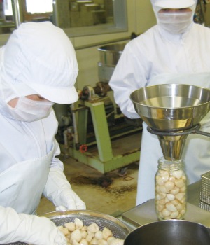 �ڴ�����ͽ��������ӥ����סۤˤ�ˤ�˪̪���Ҥ�800g