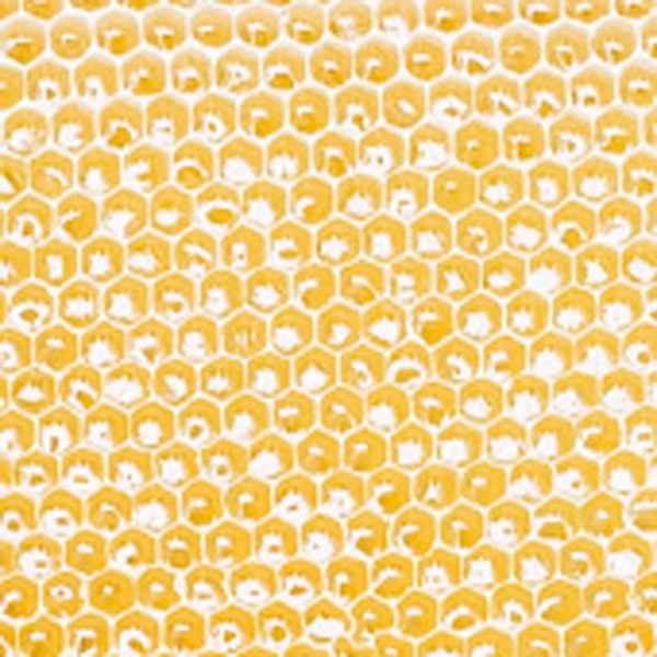 �ߥ��ޡ����ҥޥ��˪̪300��