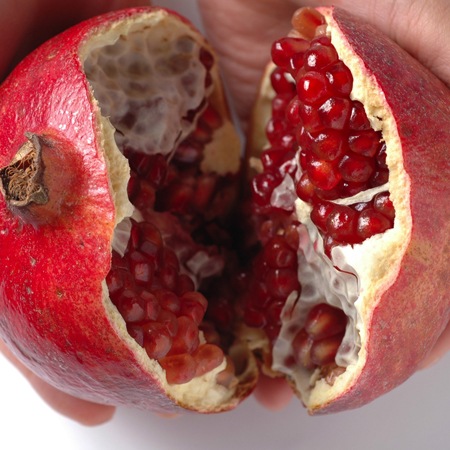 �ڴ��ָ���ۤ������С����ȥ�����3��