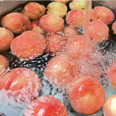 ��2���åȤ�����̵����web��������Ԥ������åȡ�