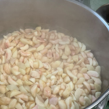 ��2���åȤ�����̵����web��������Ԥ������åȡ�