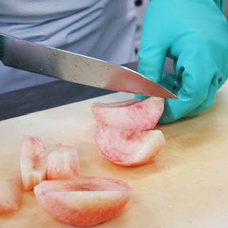 ��2���åȤ�����̵����web��������Ԥ������åȡ�