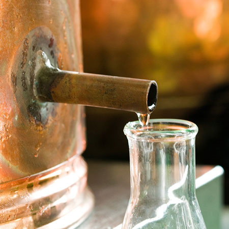 ������̵�����饯�饯������Ϥ��������۽����鯱໺��������������������200ml�ʥѥ��������ס�