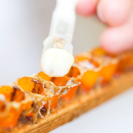 �ڿ�ȯ���˪̪������를�꡼