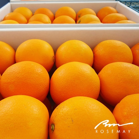 �ڴ��ָ���ۿ͵�����Υ��饤������ॻ�åȡʥ��������󥸡ˡ�