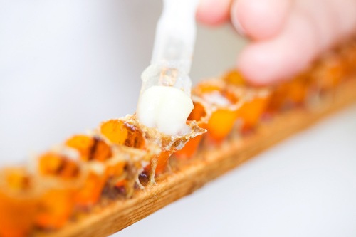 ������̵���ۥ�ԡ��ᤤ���դ����ȩ���åȡʥ��������ɥ����������졼��ɥ�����1��