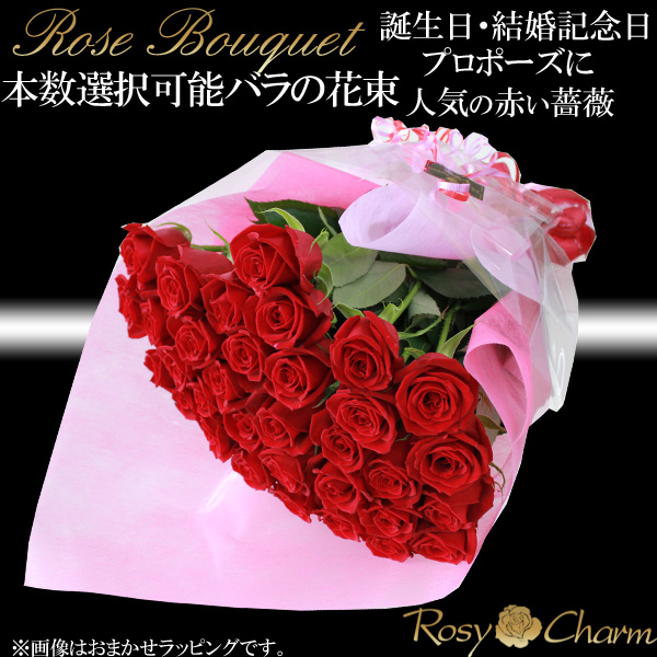 �Х�β�« 20�ܡ�108�ܤޤ��ܿ������ǽ�����������뺧��ǰ�����ץ��ݡ�����