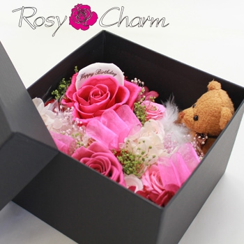 ��å������ե���BOX�������ʥ��ޤȥץꥶ���֥ɥե���