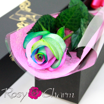 �쥤��ܡ����������£ϣ�����ե����ե�