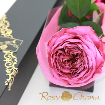 ステンレス製バラ　紫色×ハート柄　1輪 ステンレス製バラ 紫色×ハート柄 1輪