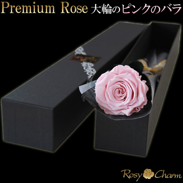 淡いピンクの薔薇 プレミアムローズ｜プリザーブドフラワー｜大輪の