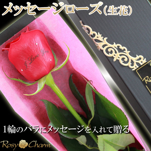 メッセージローズ【生花】薔薇1本 箱入り