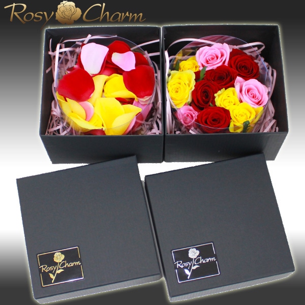 �������Х��ʥХ���Ϥ���եȡ�