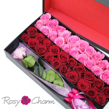 【赤い薔薇】 Manセット 711JwdtY3kL._UF350,350_QL50_.jpg