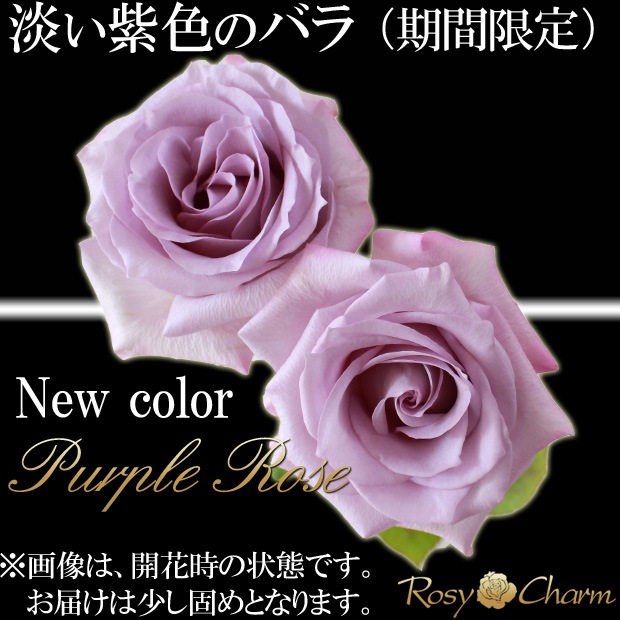 �Х�β�«�å�å��������������֡�����11�ܤ���101�ܤޤ��ܿ������ǽ�ˡå�å����������«���������֡�