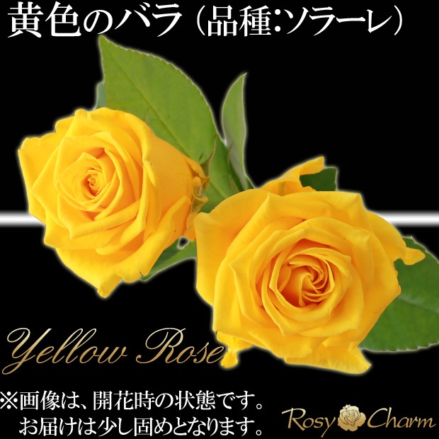 �Х�β�«�å�å��������������֡�����11�ܤ���101�ܤޤ��ܿ������ǽ�ˡå�å����������«���������֡�