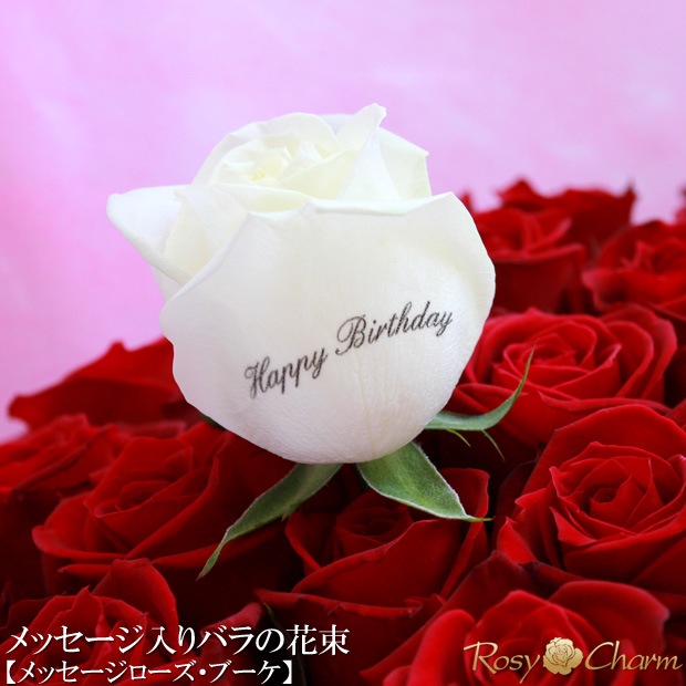 �Х�β�«�å�å��������������֡�����11�ܤ���101�ܤޤ��ܿ������ǽ�ˡå�å����������«���������֡�