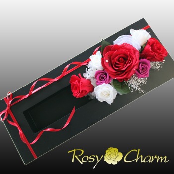 쥤եʥХΥץꥶ֥ɥե