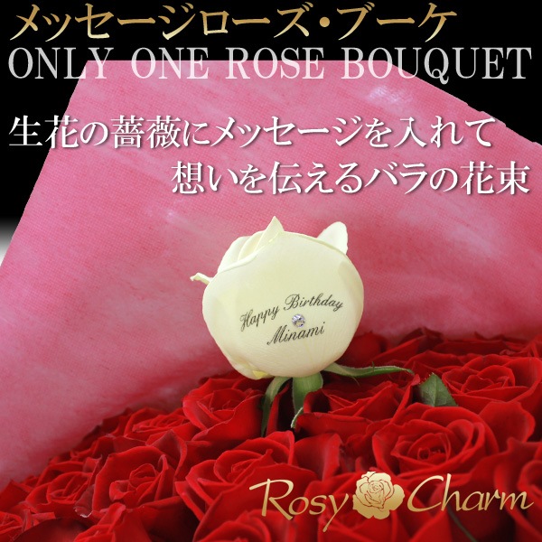 �Х�β�«�å�å��������������֡�����11�ܤ���101�ܤޤ��ܿ������ǽ�ˡå�å����������«���������֡�