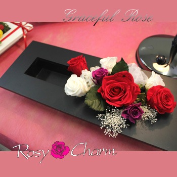 쥤եʥХΥץꥶ֥ɥե