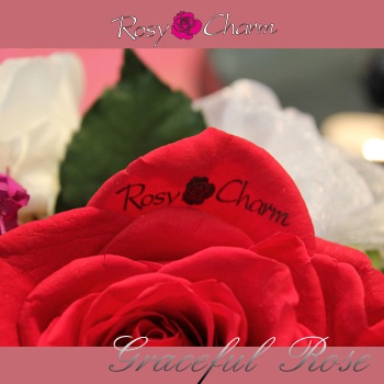 쥤եʥХΥץꥶ֥ɥե