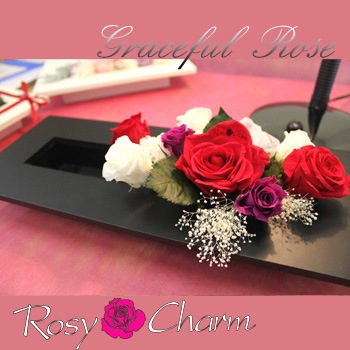 쥤եʥХΥץꥶ֥ɥե