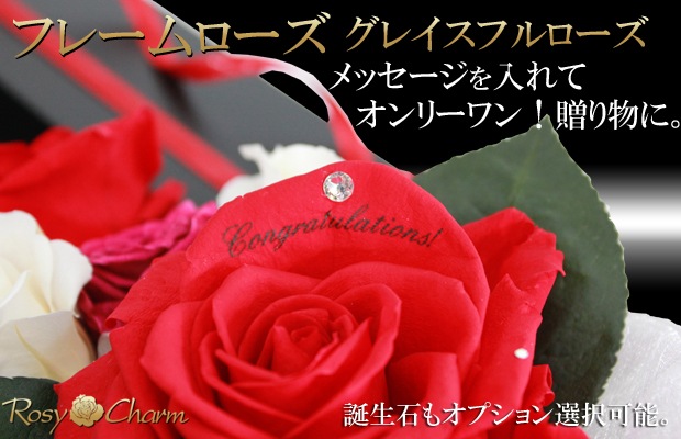 쥤եʥХΥץꥶ֥ɥե