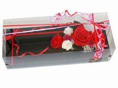 쥤եʥХΥץꥶ֥ɥե