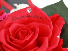 쥤եʥХΥץꥶ֥ɥե