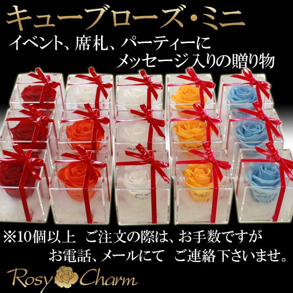 ���塼�֥��������ߥˡ��å�å������ե���2�ĥ��åȡ�