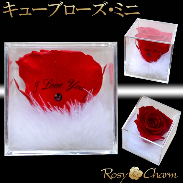 ���塼�֥��������ߥˡ��å�å������ե���2�ĥ��åȡ�